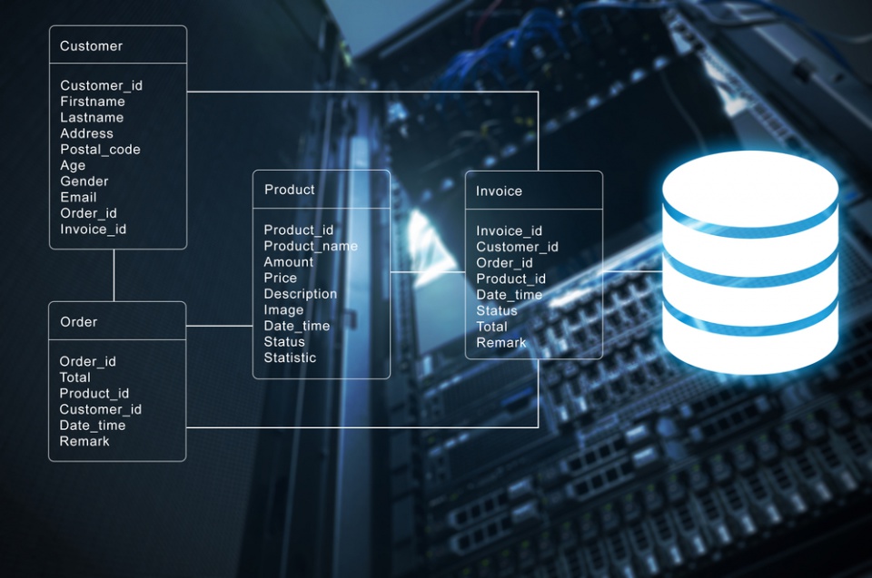 Database Development