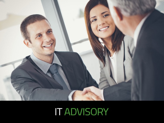 IT ADVISORY