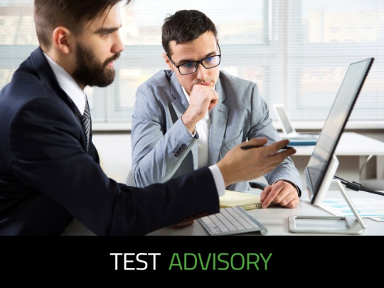 Test Advisory Services