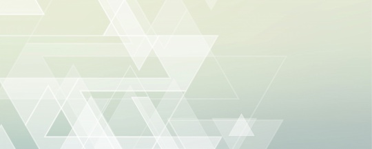 Test Triangle PageHeader